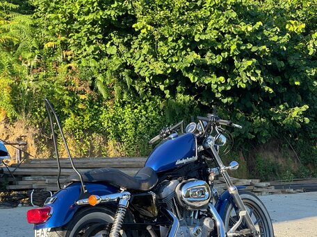 2008 Harley-Davidson Sportster 883, синий, 520000 рублей, вид 1