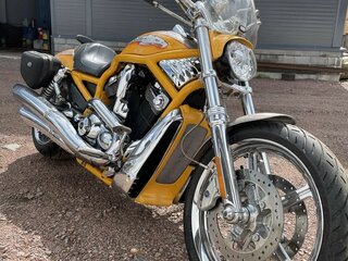 2006 Harley-Davidson V-Rod, золотистый, 1395000 рублей, вид 1