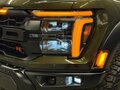 2026 Ford F-150 Raptor XIV Рестайлинг, зелёный, 18950000 рублей - вид 5