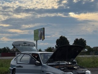 2004 Lada (ВАЗ) 2114, серебристый, 300000 рублей, вид 4