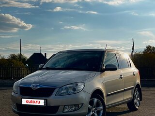 2013 Skoda Fabia II Рестайлинг, серебристый, 565000 рублей, вид 1