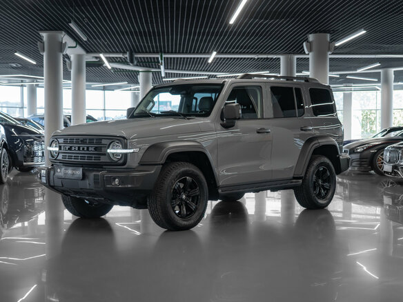 2024 Tank 300 I, серый, 3430000 рублей