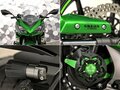 2019 Kawasaki Z 1000SX, зелёный, 1077000 рублей - вид 9