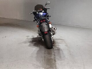 2001 Yamaha FZS1000 Fazer, синий, 379000 рублей, вид 4