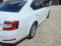 2016 Skoda Octavia III (A7), белый, 710000 рублей - вид 3