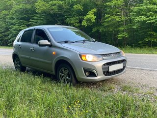 2013 Lada (ВАЗ) Kalina II, серебристый, 610000 рублей, вид 5