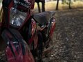 2024 Zuumav FX A7, красный, 110000 рублей