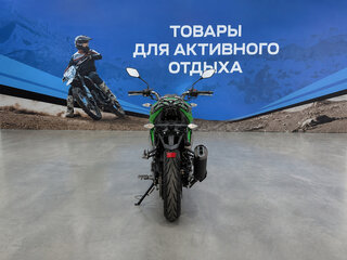 2026 Regulmoto T-Leopard 300, зелёный, 223700 рублей, вид 5