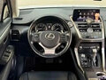 2021 Lexus NX 200 I Рестайлинг, белый, 3168002 рублей - вид 8