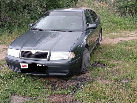 2007 Skoda Octavia I (A4) Рестайлинг, серый, 399000 рублей - вид 2