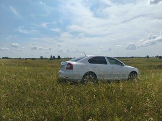 2012 Skoda Octavia II (A5) Рестайлинг, белый, 1100000 рублей, вид 4