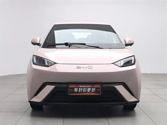 2024 BYD Seagull 30.08 kWh I, розовый - вид 1