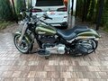 2022 Harley-Davidson Fat Boy, зелёный, 2300000 рублей - вид 7