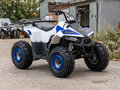 2026 Motoland ATV 110 Eagle, белый, 87600 рублей