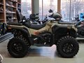 2026 Loncin XWolf 1000, жёлтый, 1259000 рублей - вид 7