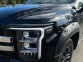 2024 Foton Mars 7, чёрный, 3999999 рублей