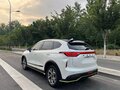 2022 Haval Chitu, белый, 1110000 рублей - вид 5
