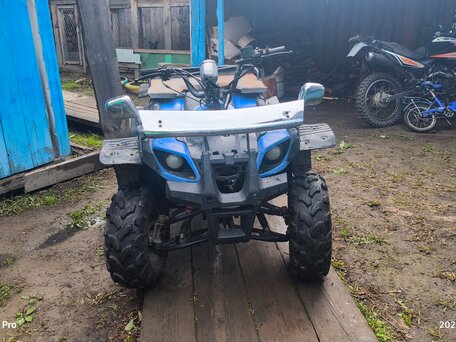 2018 Grizzly Aerox Mini, синий, 65000 рублей, вид 1