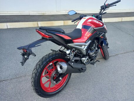 2026 GPX Raptor RZ200, красный, 199900 рублей, вид 2