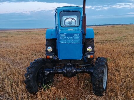 1983 ЛТЗ Т-40АМ, голубой, 275000 рублей, вид 1