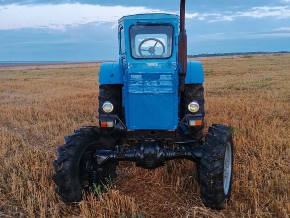 1983 ЛТЗ Т-40АМ, голубой, 275000 рублей