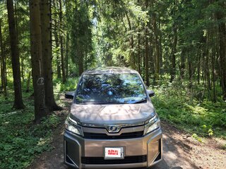 2018 Toyota Voxy III (R80) Рестайлинг, серый, 2400000 рублей, вид 1