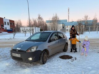 2006 Ford Fiesta Mk5, серый, 230000 рублей, вид 1