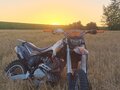 2025 JHL ELX300, оранжевый, 100000 рублей - вид 1