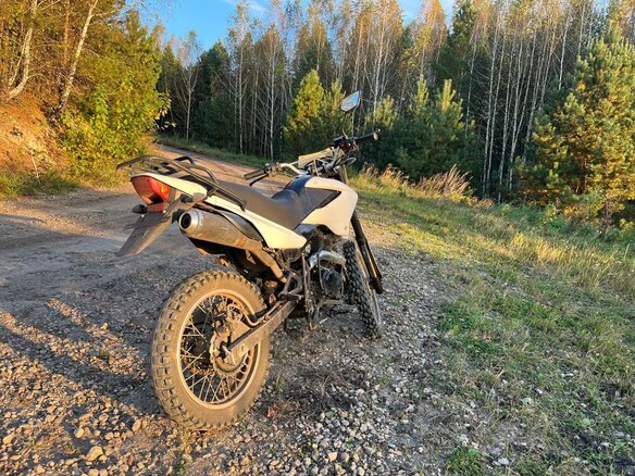 2020 Racer Panther, зелёный, 60000 рублей - вид 6