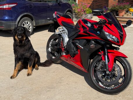 2008 Honda CBR 600RR, красный, 630000 рублей, вид 1