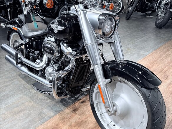 2019 Harley-Davidson Fat Boy, чёрный, 1799000 рублей - вид 10