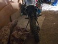 2026 Sharmax Activator, оранжевый, 130000 рублей - вид 2