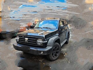 2022 Tank 300 I, чёрный, 3180000 рублей, вид 2