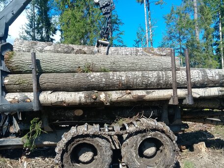 2005 Ponsse Elk, жёлтый, 6500000 рублей, вид 1