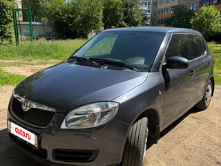 2009 Skoda Fabia II, серый, 610000 рублей, вид 1