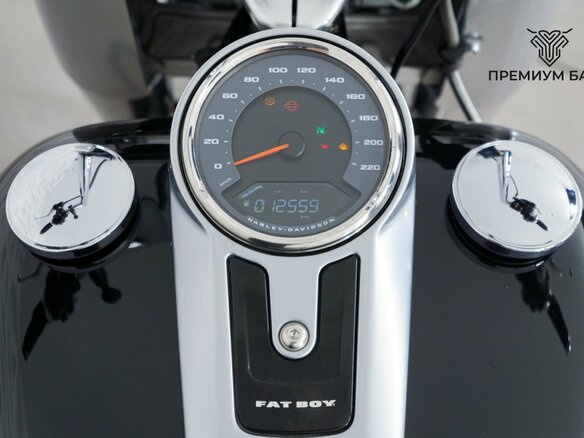2018 Harley-Davidson Fat Boy, чёрный, 1899000 рублей - вид 11