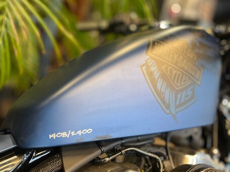 2018 Harley-Davidson Sportster 1200, синий, 1700000 рублей, вид 2