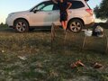 2013 Subaru Forester IV, белый - вид 2