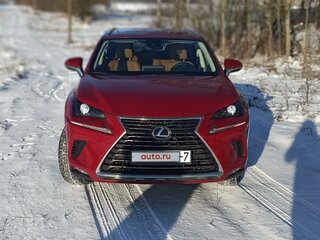 2021 Lexus NX 300 I Рестайлинг, красный, 3806000 рублей, вид 4