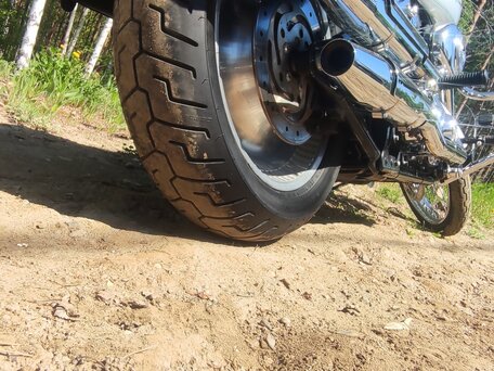 2005 Harley-Davidson Softail Custom, серебристый, 795000 рублей, вид 3