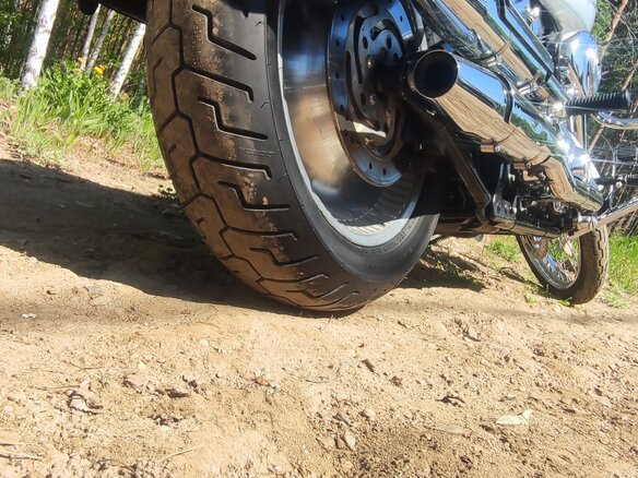 2005 Harley-Davidson Softail Custom, серебристый, 795000 рублей - вид 2