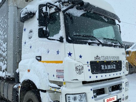 2020 КамАЗ 5490, белый, 3390000 рублей, вид 4