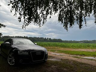 2009 Audi S5 I (8T), чёрный, 1499999 рублей, вид 3