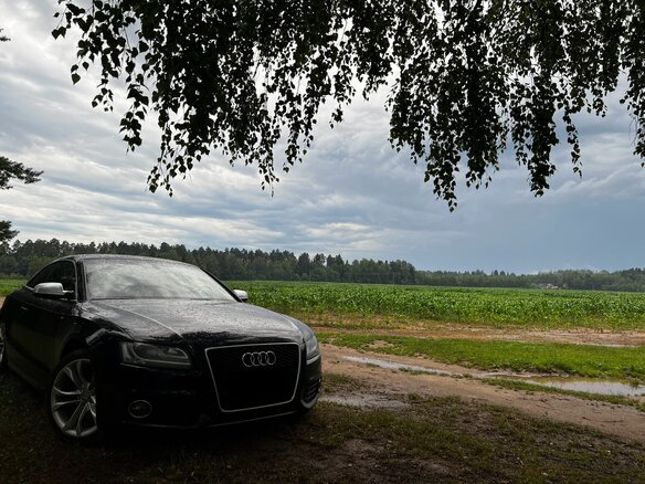 2009 Audi S5 I (8T), чёрный, 1499999 рублей - вид 2