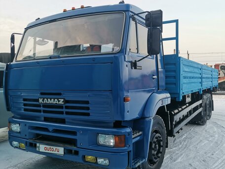 2010 КамАЗ 65117, синий, 2300000 рублей, вид 3
