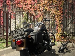 2013 Harley-Davidson Fat Boy, коричневый, 1700000 рублей, вид 5