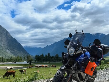 2007 Honda XL700V Transalp, синий, 505000 рублей, вид 3