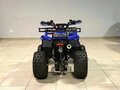 2026 Motoland ATV 150 Fox, бежевый, 145800 рублей - вид 3