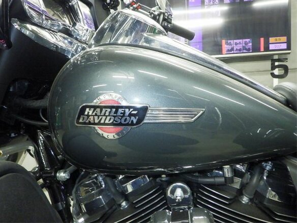 2025 Harley-Davidson Tri Glide, серый, 4000000 рублей - вид 11