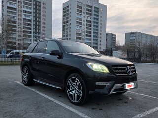2014 Mercedes-Benz M-Класс 300 III (W166), чёрный, 3050000 рублей, вид 5